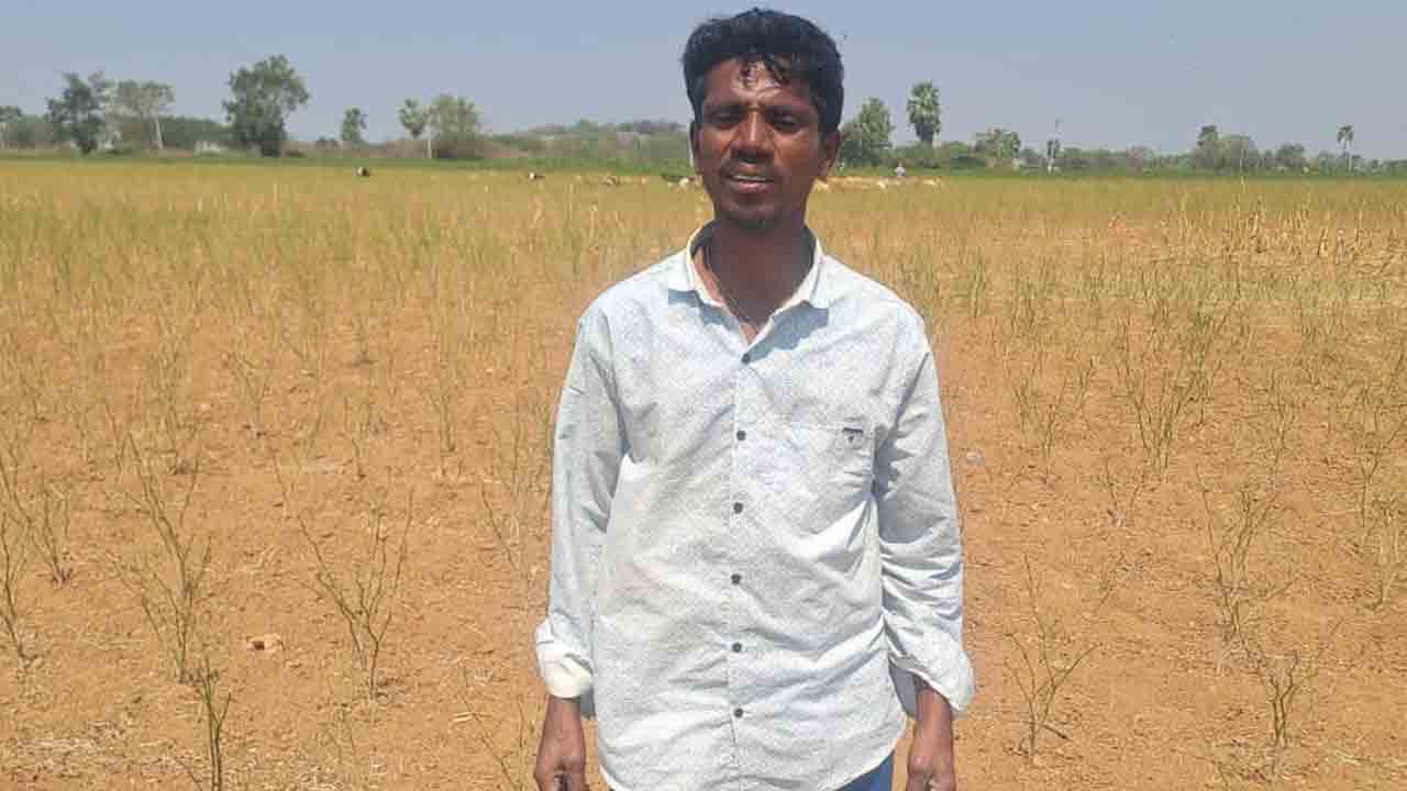 రెంటికి చెడ్డ రైతన్న