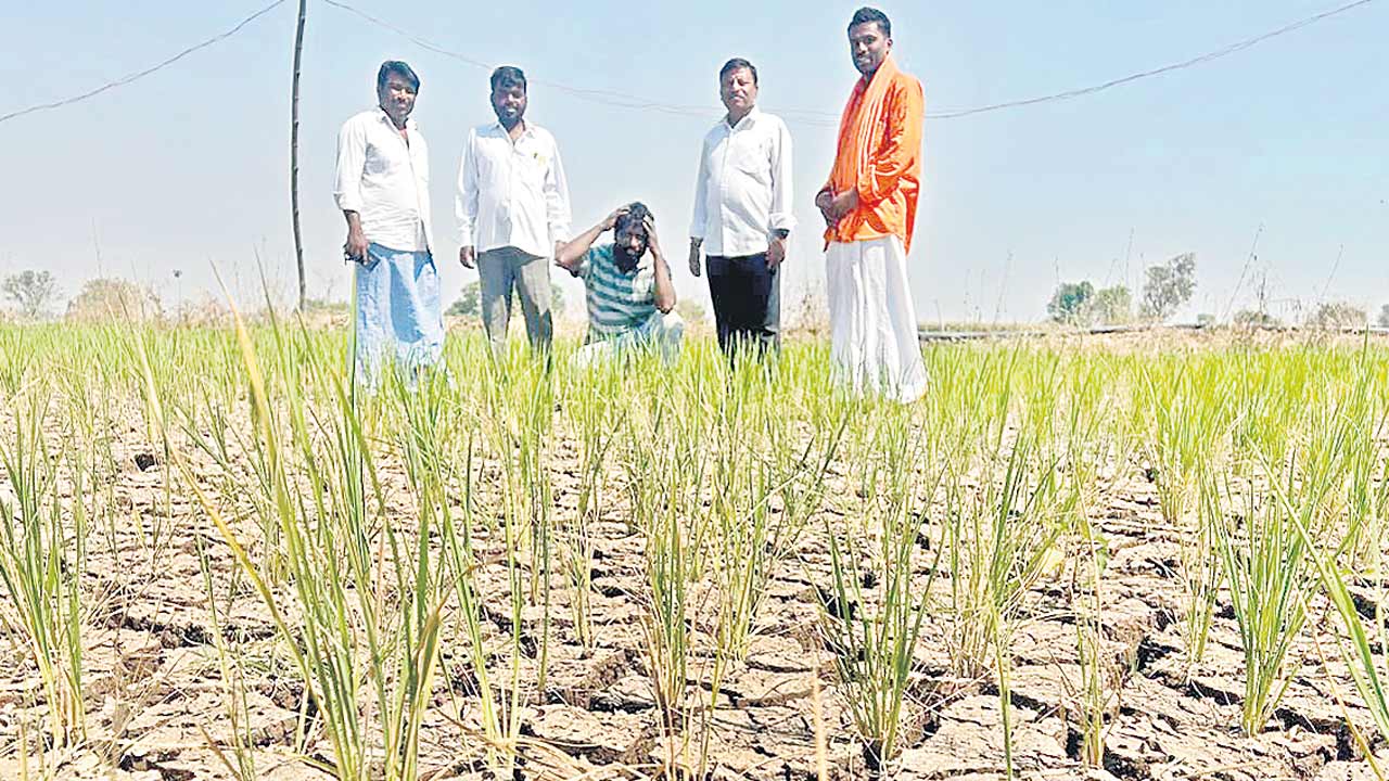 అందని నిటితడి.. రైతన్న కంటతడి