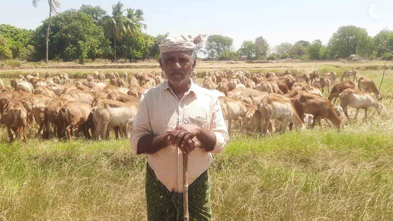 Nutankal Farmers | ‘నీళ్లు కరువై గుండె చెరువై.. అప్పులు తీర్చాలంటే ఏదైనా అమ్మాల్సిందే’