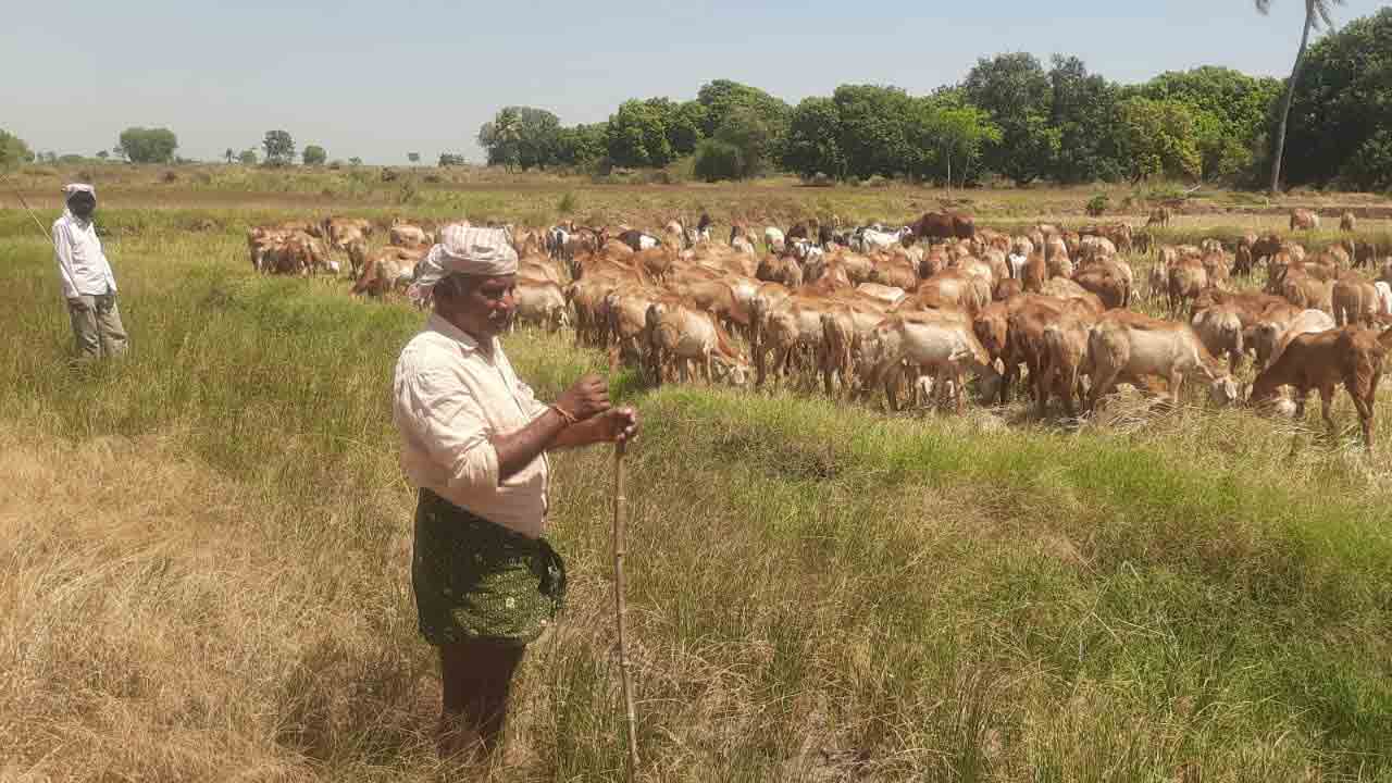 Nutankal Farmers1