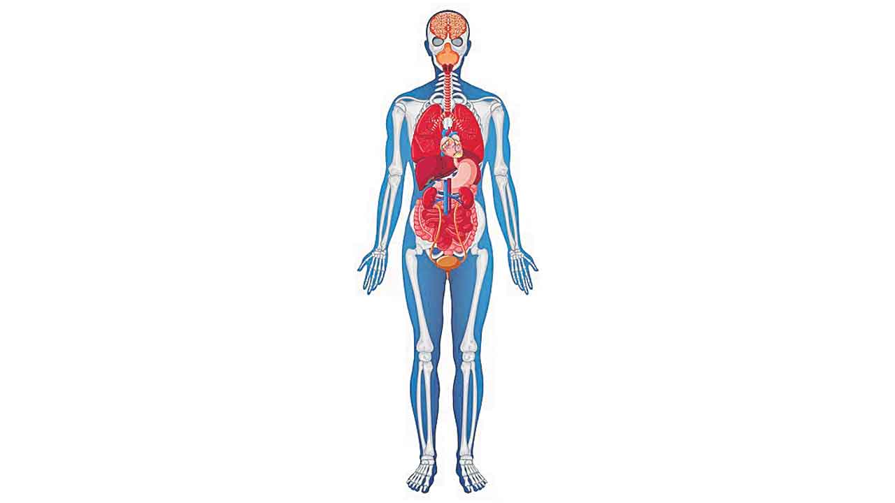 Organ Transplantation