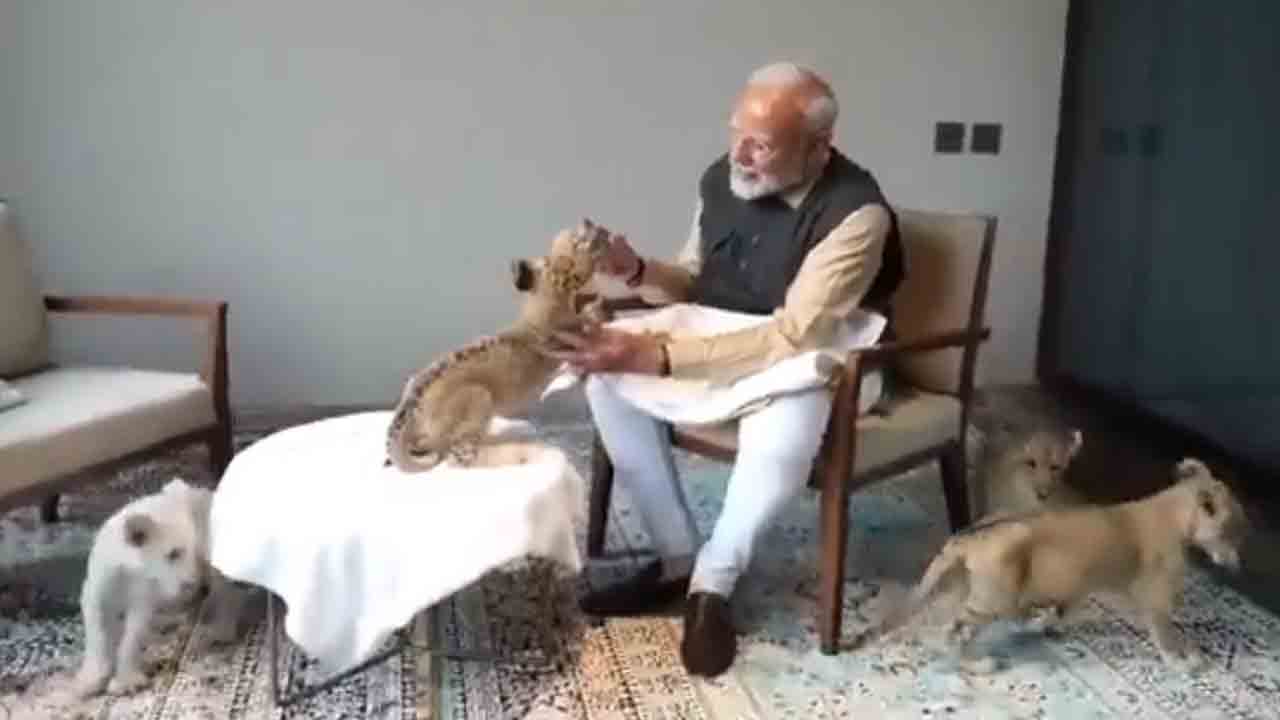 PM Modi | వంతారాలో సింహం పిల్లలతో మోదీ.. వీడియో