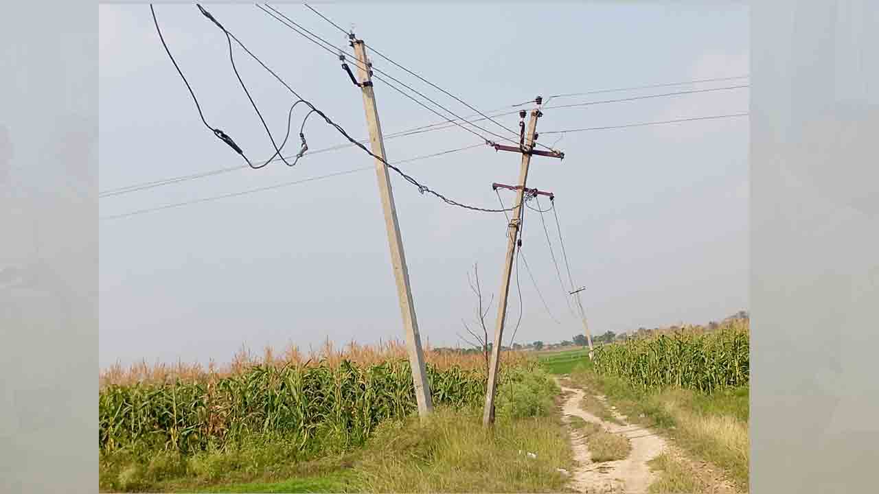 Paddy Fields | పంట పొలాల్లో వంగిన 11 కేవీ విద్యుత్ స్తంభం.. రైతులకు పొంచి ఉన్న ప్రమాదం
