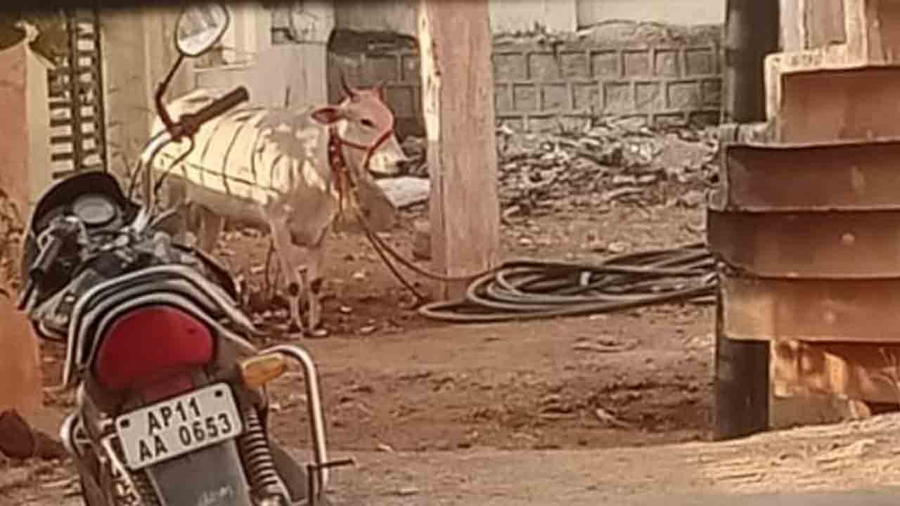 Park Place | నిర్వహణ కరువు.. పశువుల దొడ్డిగా మారిన పార్కు స్థలం