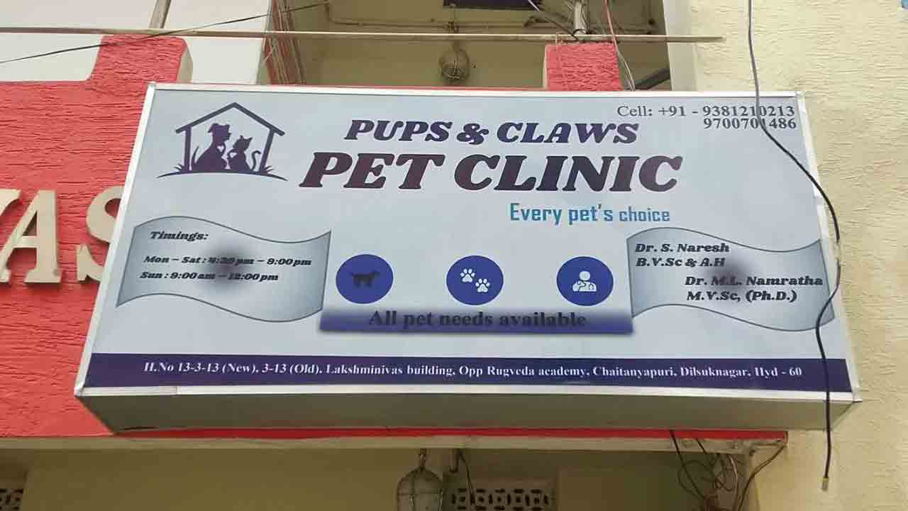 పెట్‌ క్లినిక్స్‌కు పెరుగుతన్న డిమాండ్‌