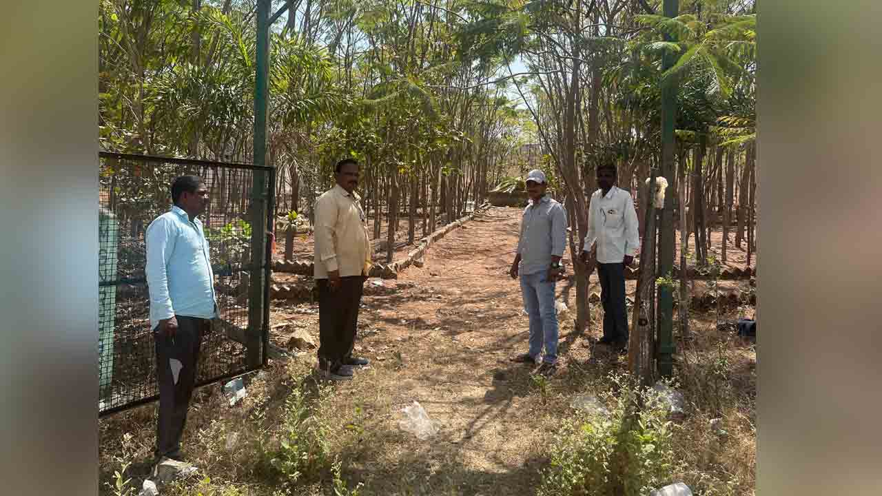 Plants Protection | వేసవిలో మొక్కలు ఎండిపోకుండా జాగ్రత్తలు తీసుకోవాలి