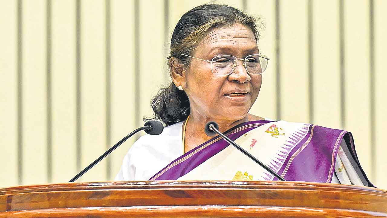 మా నాన్న చెట్లను క్షమాపణ కోరేవారు