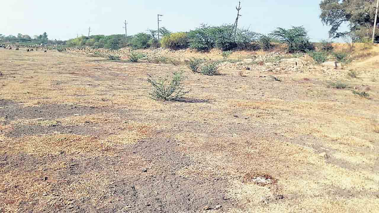 ఎండిన చెరువు.. మత్స్యకారుల దిగులు