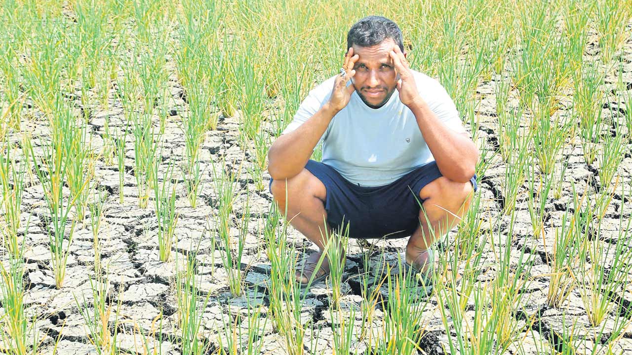 కరెంట్‌ కోతలతో కన్నీళ్లే మిగిలాయి..