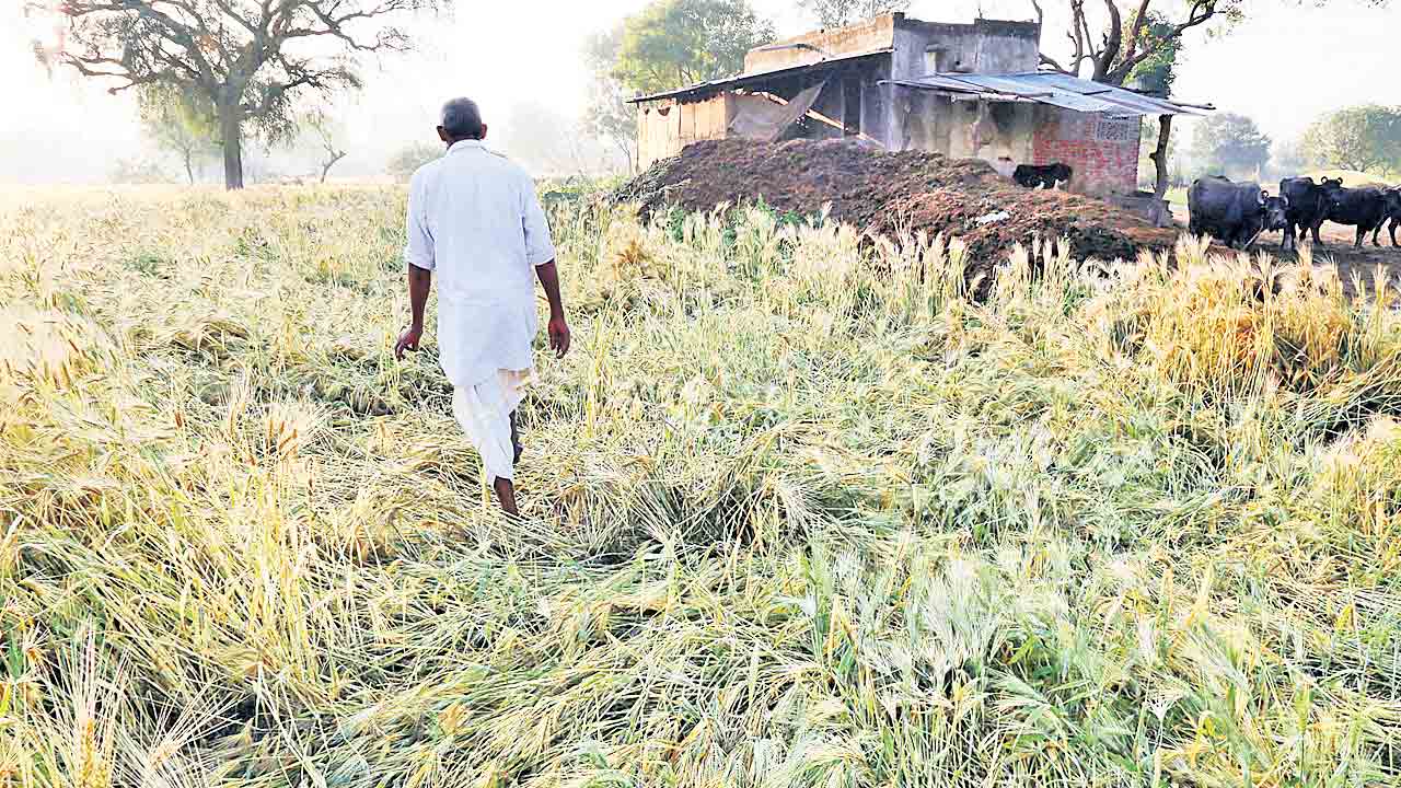 కాంగ్రెస్‌ ప్రభుత్వ పాలన లో.. ఉత్సాహం కరువైన ఉగాది