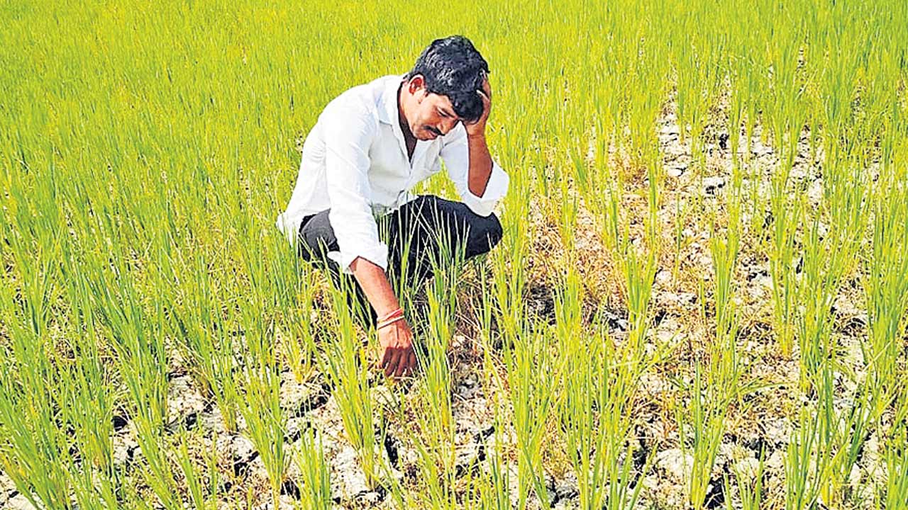 కాంగ్రెస్‌ తెచ్చిన కరువు