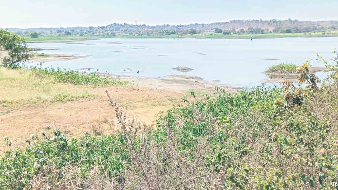 పంటలు నిండక.. పంటలు పండక