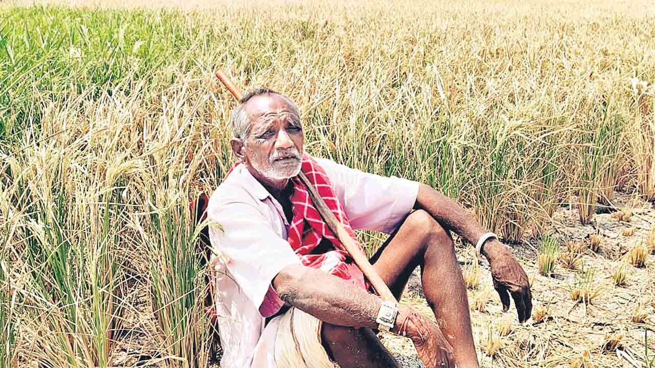 Farmers | కాంగ్రెస్‌ సర్కార్‌ పైసా ఇయ్యలే.. ఆవేద‌న వ్య‌క్తం చేస్తున్న అన్న‌దాత‌లు