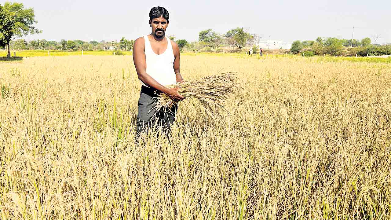 Rangareddy