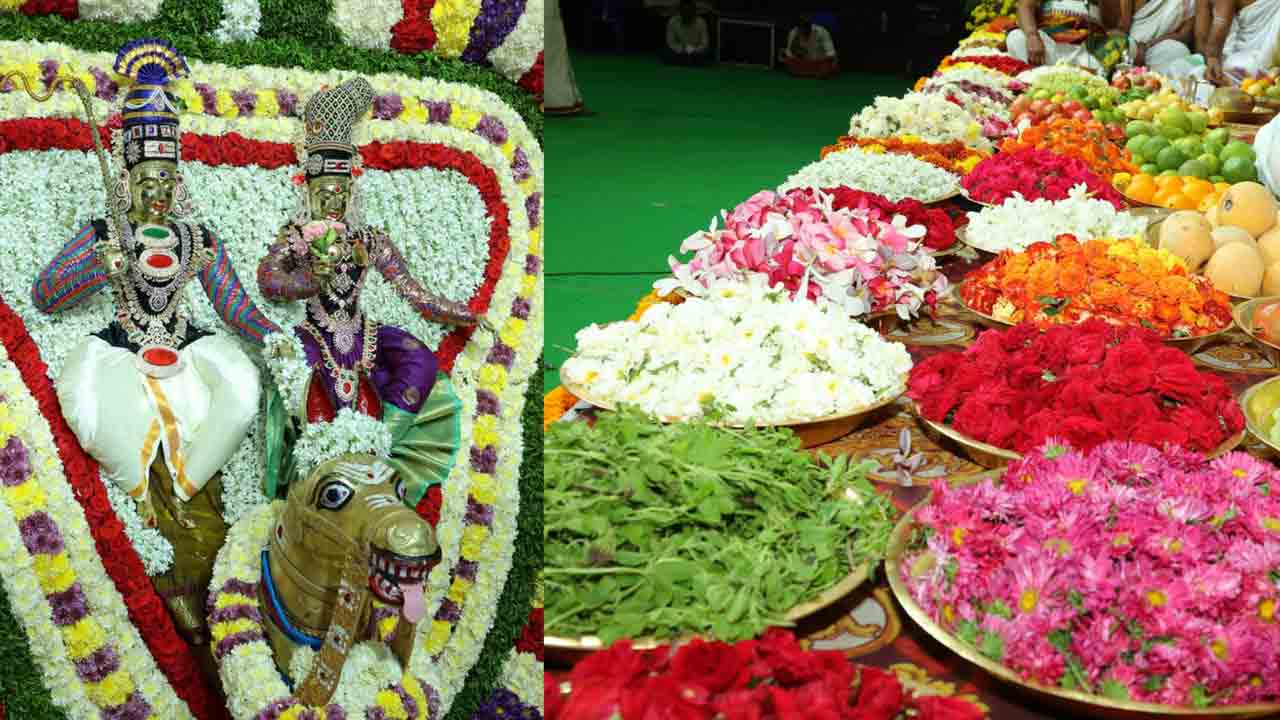 Srisailam5
