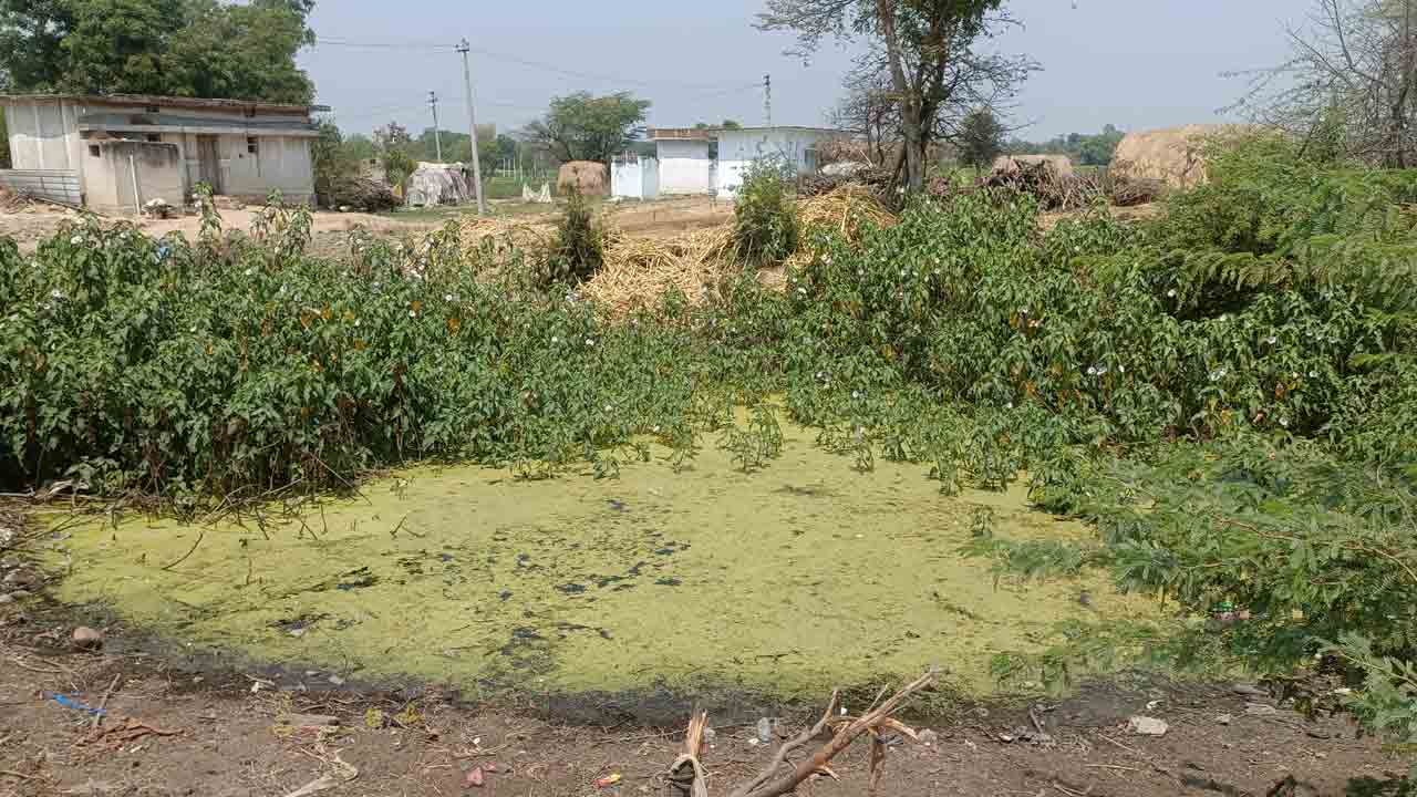 Sanitation | ఎటు చూసినా మురుగు నీరు, చెత్త.. ప్రత్యేక అధికారుల పాలనలో పడకేసిన పారిశుధ్యం