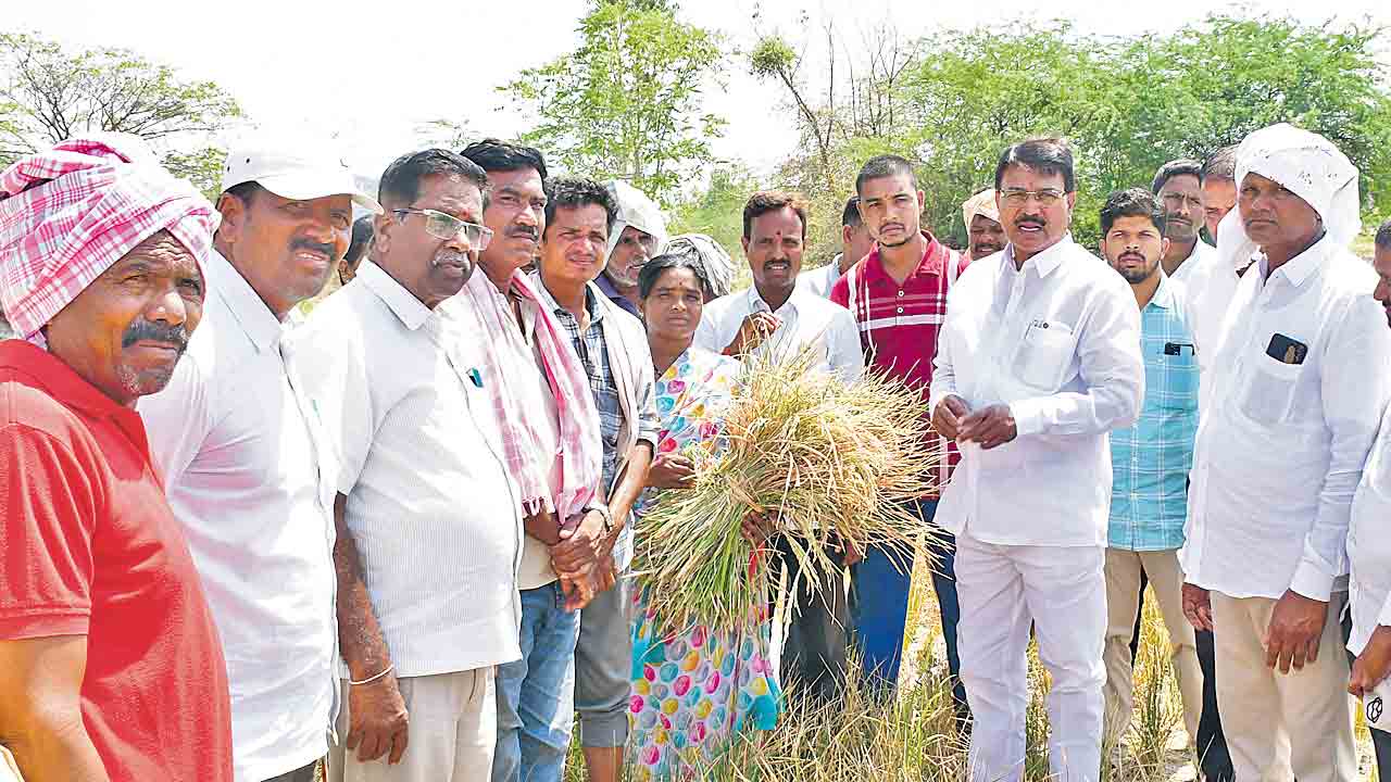 కాంగ్రెస్‌ ప్రభుత్వంలో రైతుల గోస