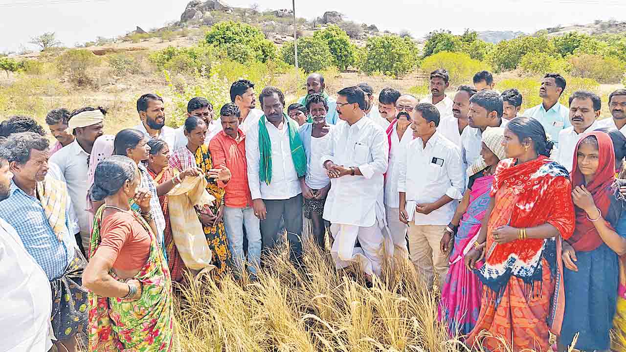 రైతులంటే సర్కార్‌కు సోయిలేదు.. మాజీ మంత్రి సింగిరెడ్డి నిరంజన్‌రెడ్డి మండిపాటు