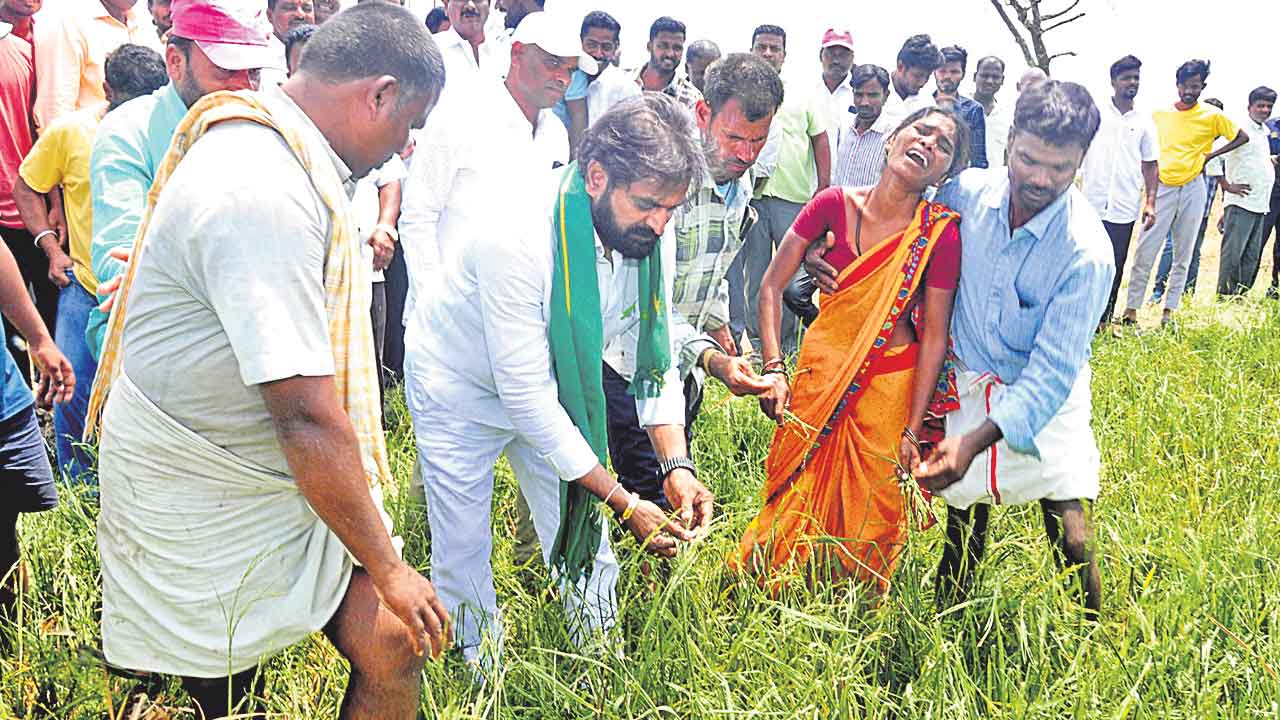 వడగండ్ల వానతో రైతుకు తీరని నష్టం