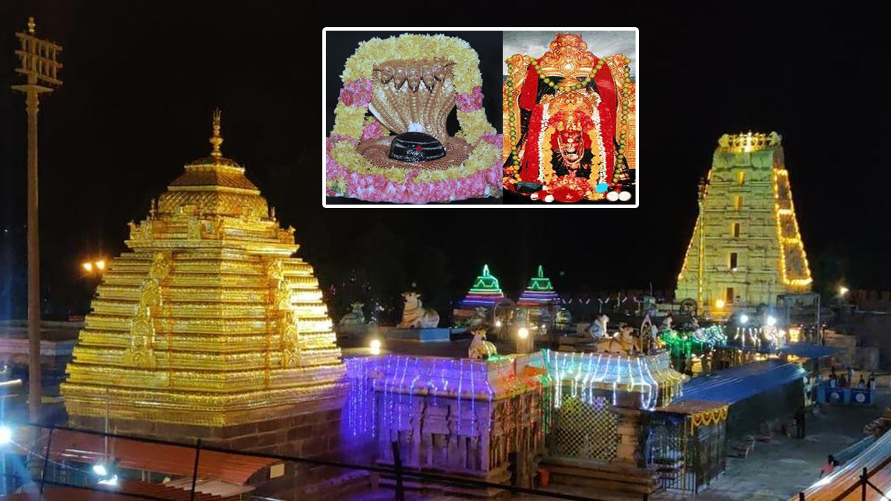 Srisailam Temple | శ్రీశైల మల్లన్న క్షేత్రంలో ఈ నెల 27 నుంచి ఉగాది మహోత్సవాలు.. రోజు అలంకారంలో దర్శనమివ్వనున్న భ్రమరాంబాదేవి