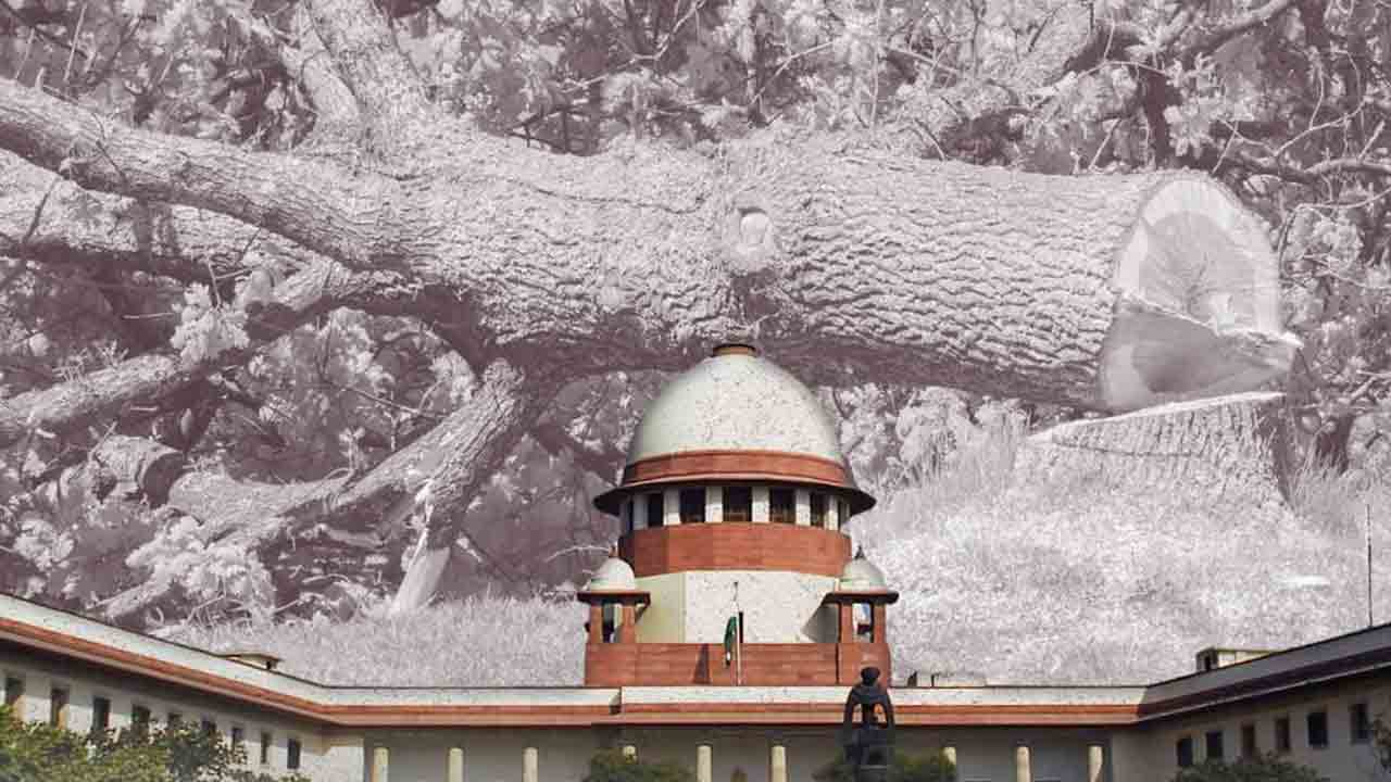 Supreme Court | భారీగా చెట్లను నరకడం మనిషిని చంపడం కంటే ఘోరం : సుప్రీంకోర్టు
