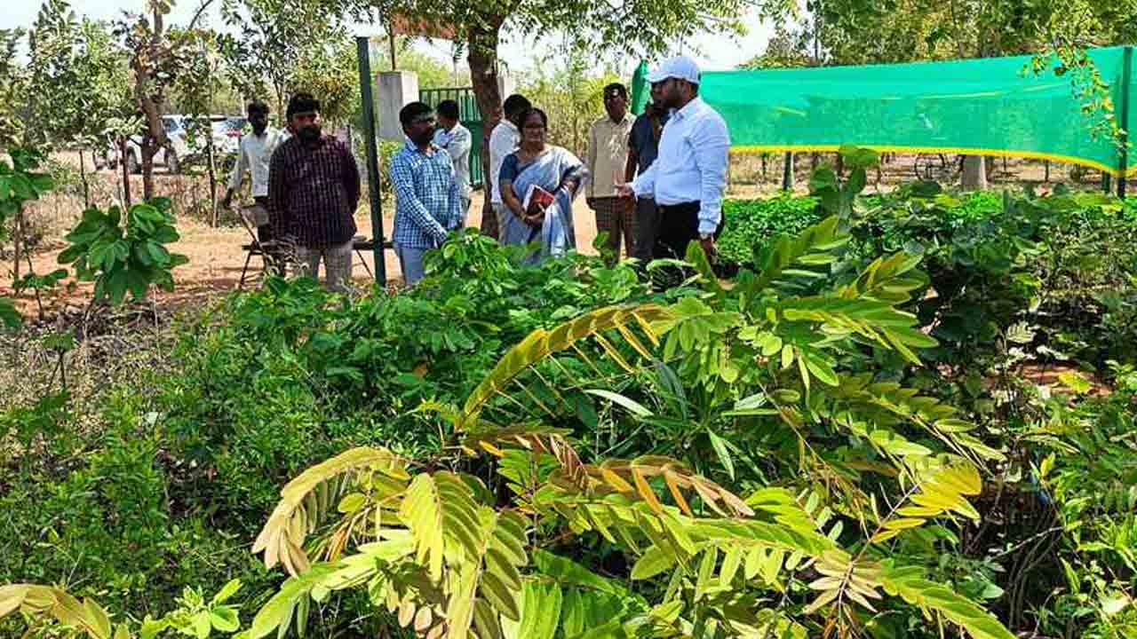 Tejas Nandlal Pawar | నాటిన ప్రతీ మొక్కను రక్షించాలి : కలెక్టర్ తేజస్ నందాలాల్ పవర్