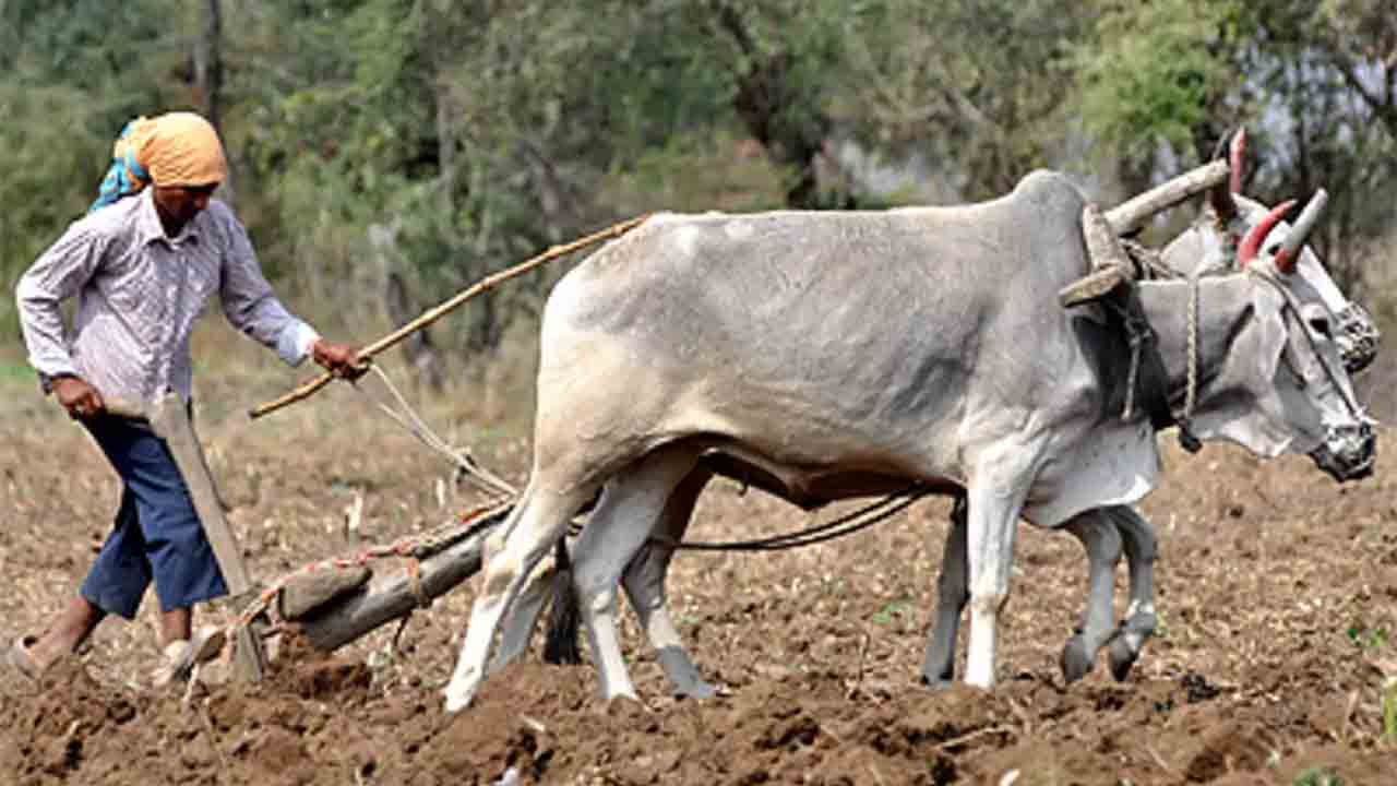 Tenant farmer | ‘కౌలు రైతు సమస్యలు పరిష్కరించకపోతే ఉద్యమిస్తాం’