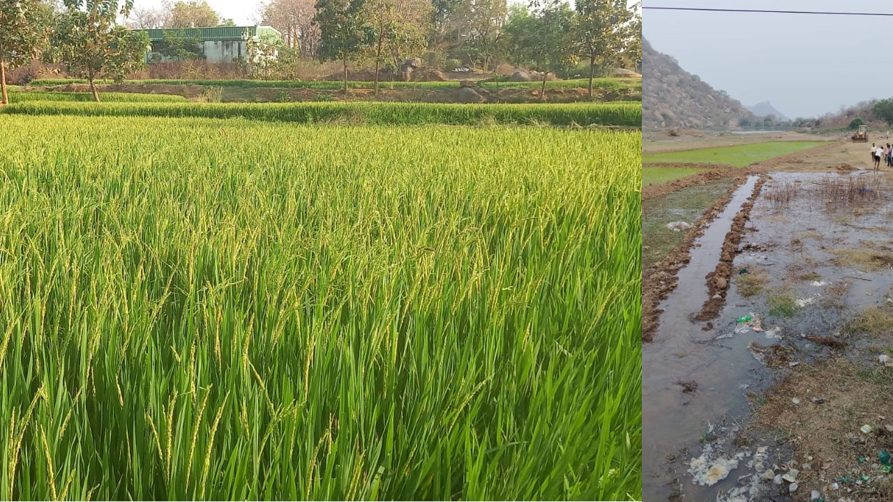 Thimmapur 2