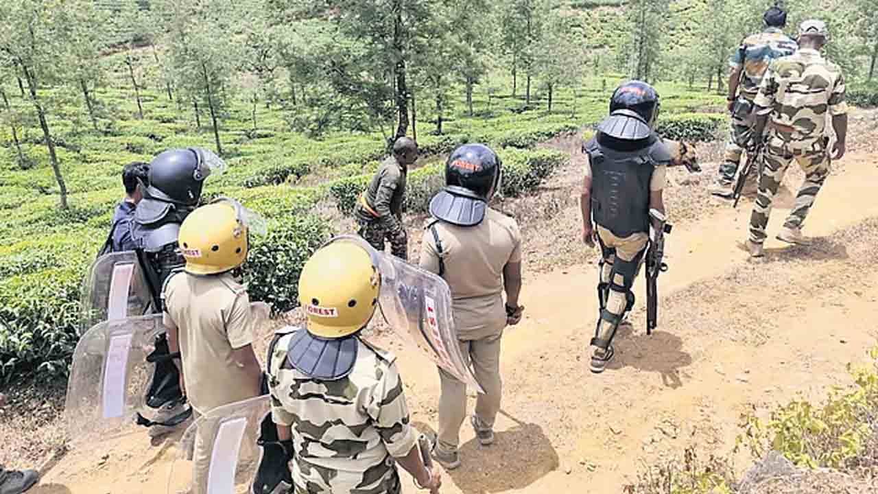 Tiger Kill | పట్టుకునేందుకు వెళ్తే దాడి.. పులిని కాల్చిచంపిన అధికారులు