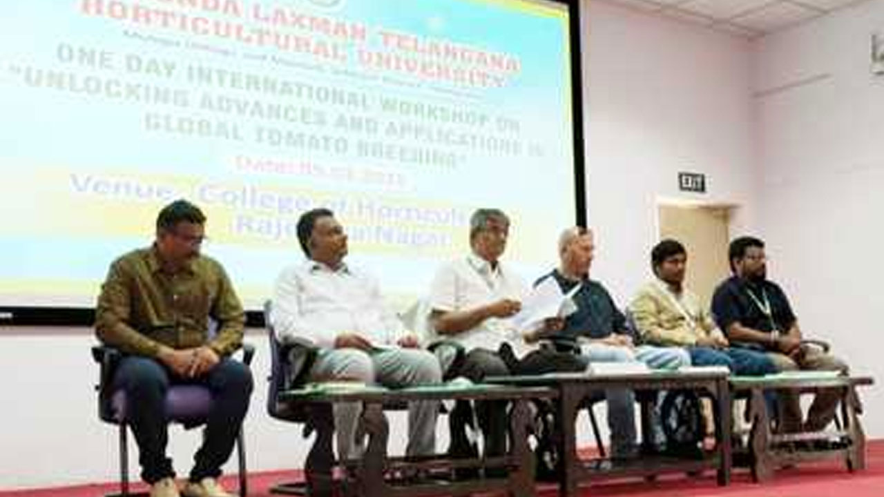 టమాటలో నూతన ఆపరేటర్ రకాలు అవసరం: ఉద్యాన వర్సిటీ వీసీ