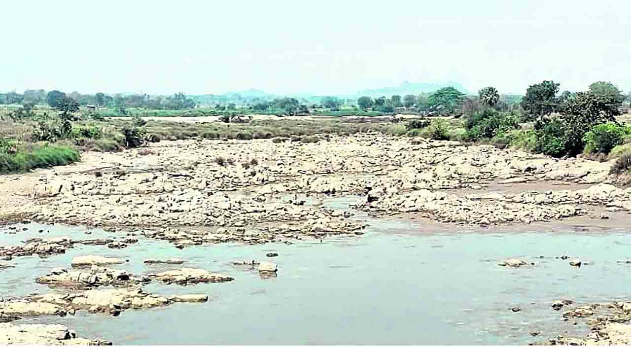 యాసంగి సాగుడెట్ల..