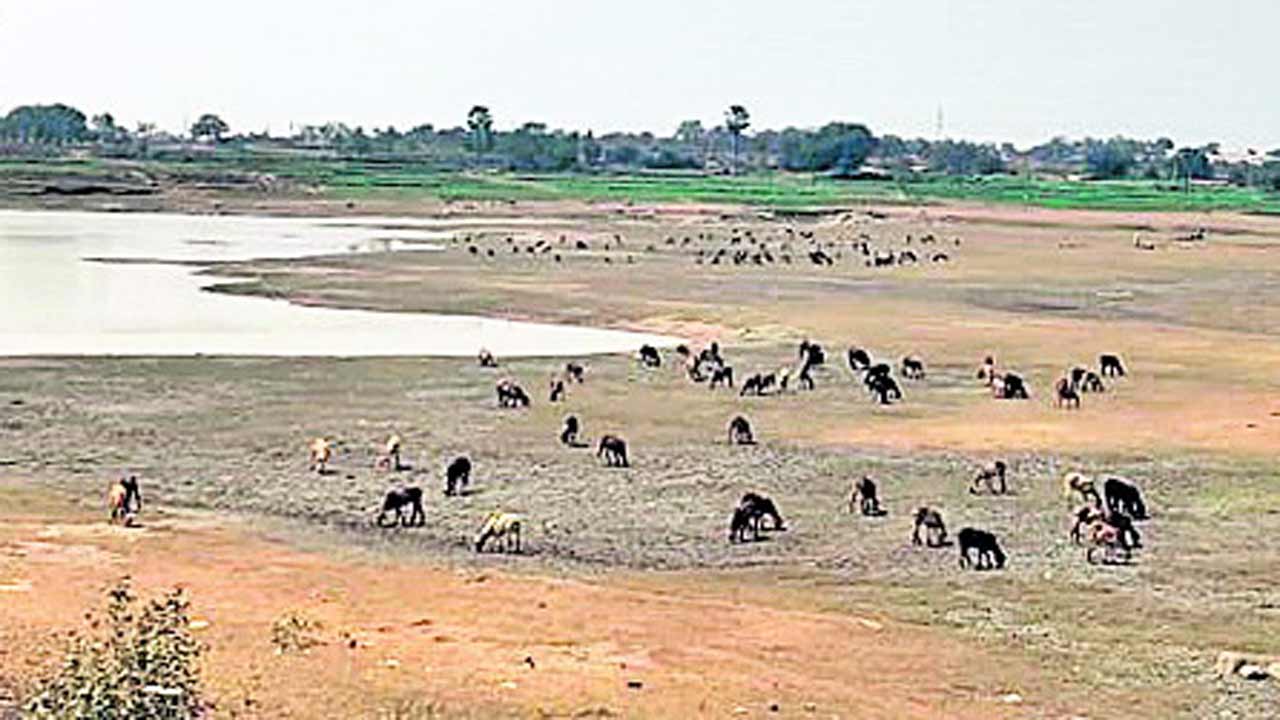 Warangal4