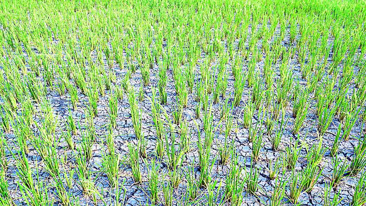 జనగామకు జలగండం