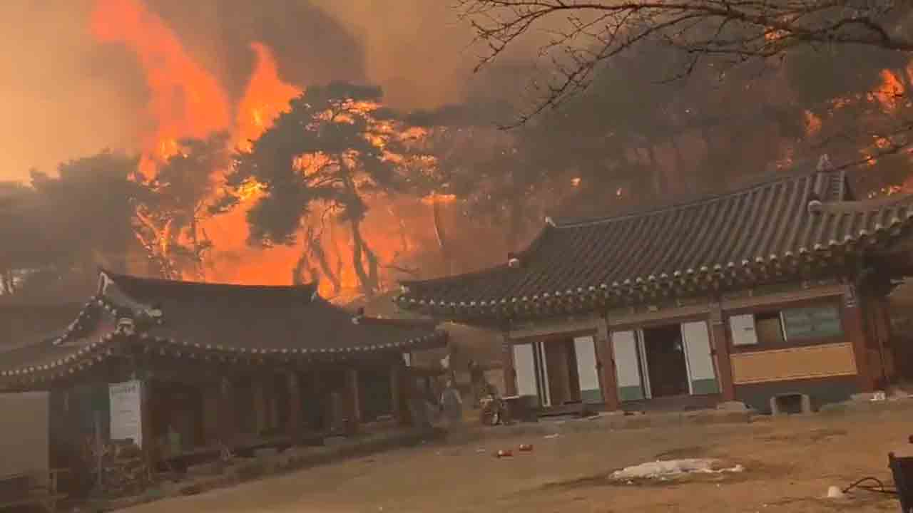 Wildfire | దక్షిణ కొరియాలో కార్చిచ్చు బీభత్సం.. 18 మంది మృతి