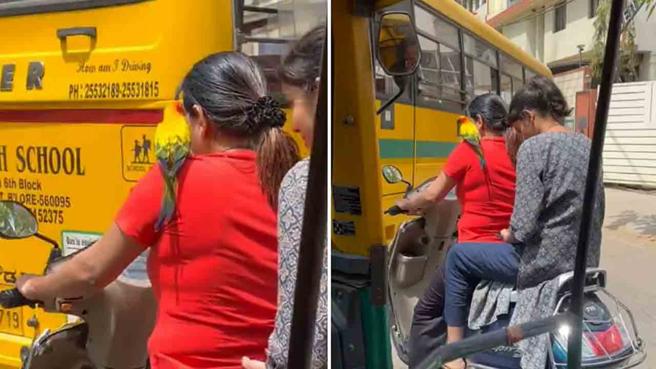 Watch: భుజంపై చిలుకతో స్కూటర్‌ నడిపిన మహిళ.. వీడియో వైరల్‌