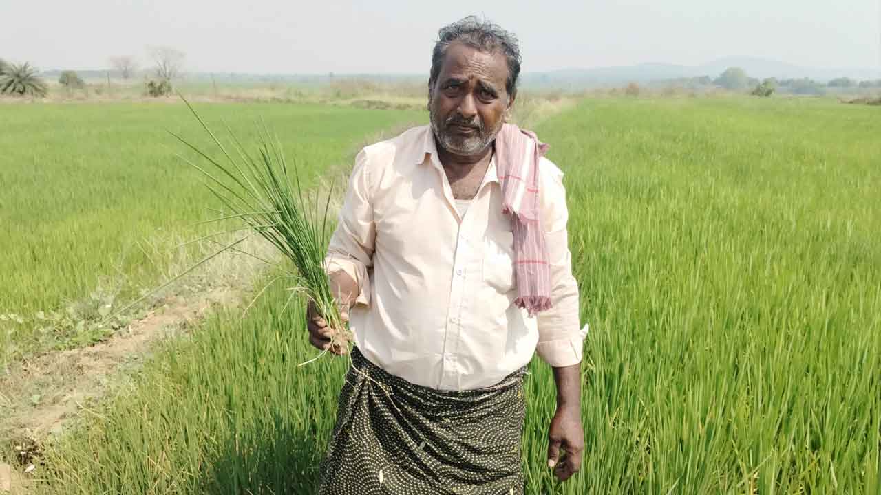 అప్పు చేసి రూ.1.20 లక్షలు పెట్టుబడి పెట్టా..