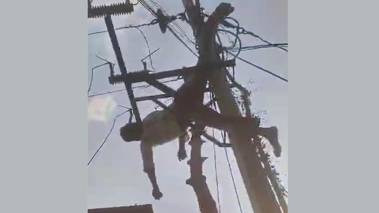 Electric Shok | విద్యుదాఘాతంతో రైతు మృతి.. మృతదేహంతో సబ్‌స్టేషన్‌ వద్ద ధర్నా
