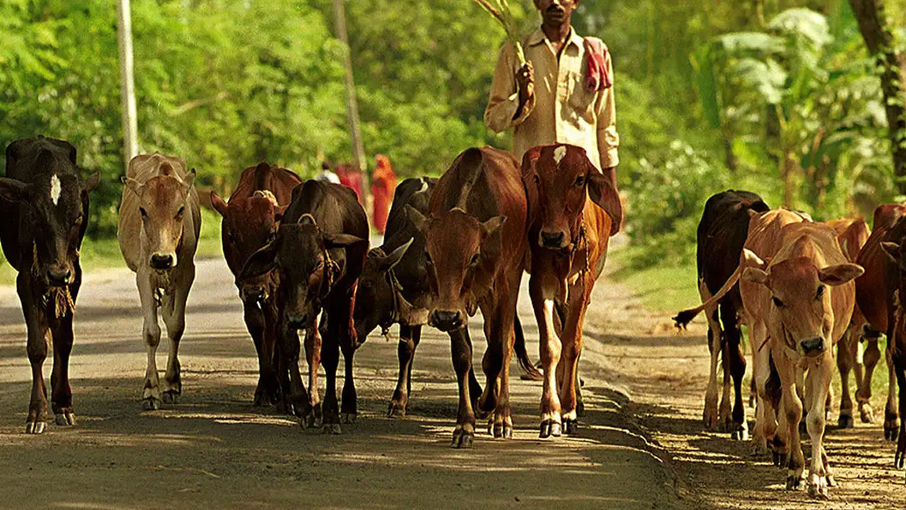 Husnabad | హుస్నాబాద్‌ అంగడి వేలం పాట.. ధర తగ్గించాలంటూ బహిష్కరించిన కాంట్రాక్టర్లు