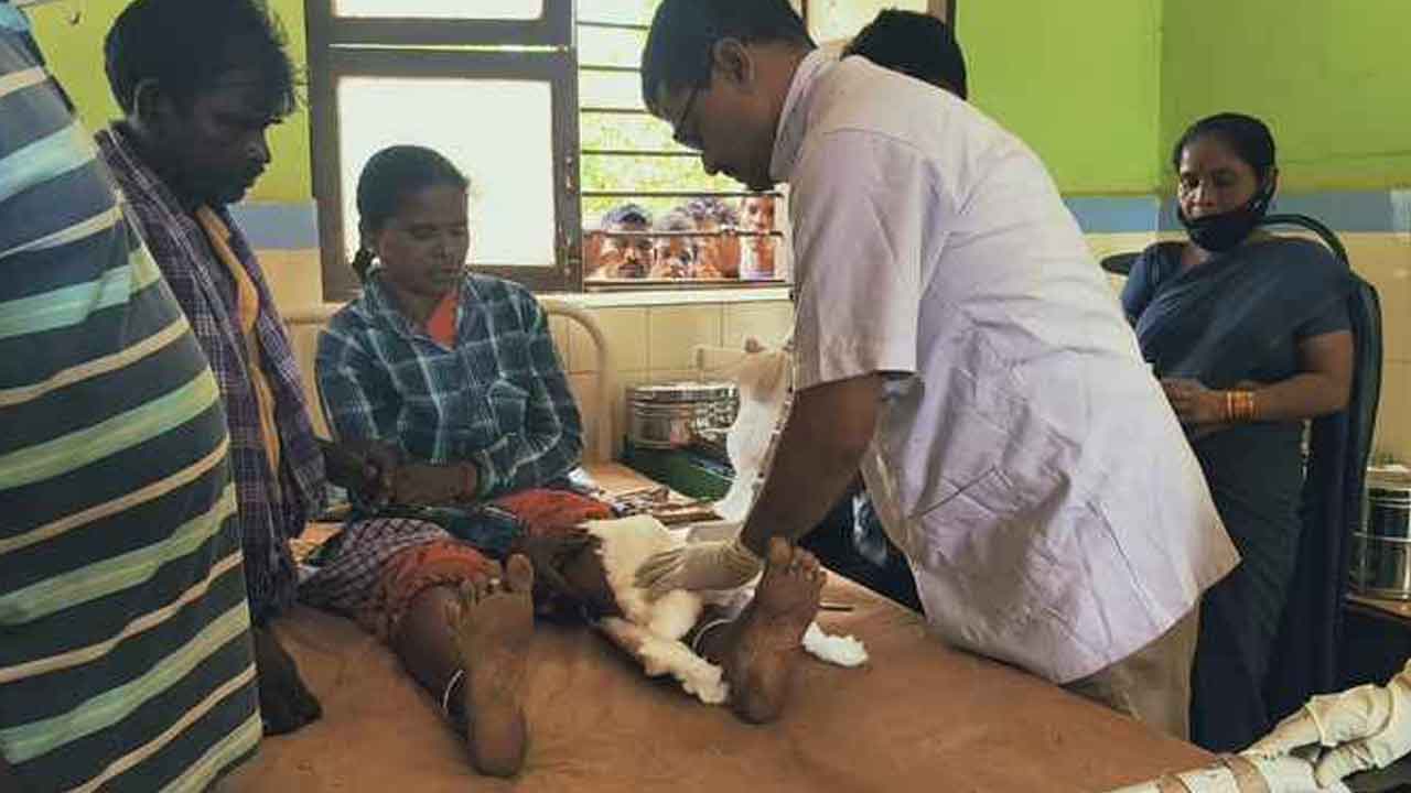 Auto accident | ఎడ్ల బండిని ఢీ కొట్టిన ఆటో తొమ్మిది మందికి గాయాలు