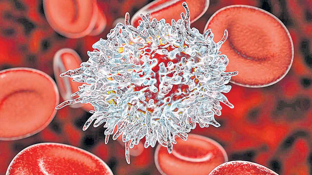 Gene Therapy | బ్లడ్‌ క్యాన్సర్‌కు సరికొత్త చికిత్స.. జీన్‌ థెరపీని అభివృద్ధి చేసిన ముంబయి పరిశోధకులు..!