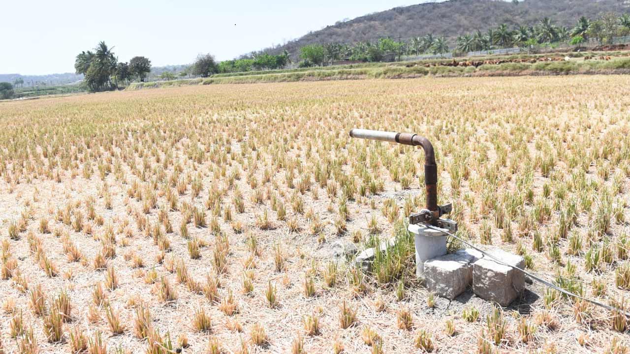 Rangareddy | రంగారెడ్డి జిల్లాలో తాగు, సాగునీటికి ముంచుకొస్తున్న ముప్పు..
