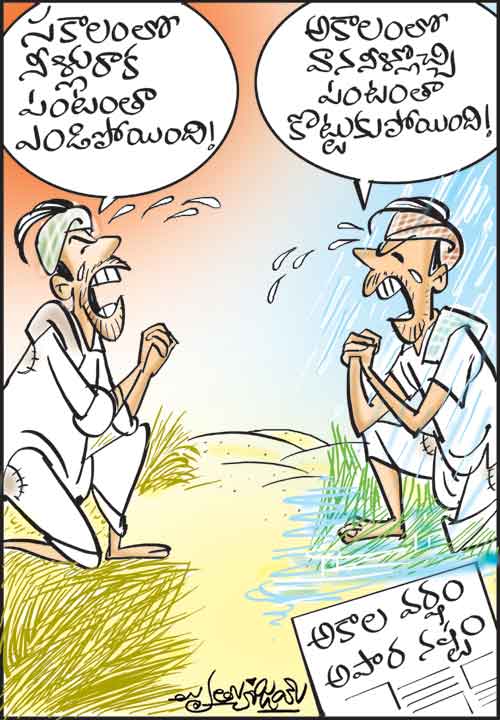 Cartoon
