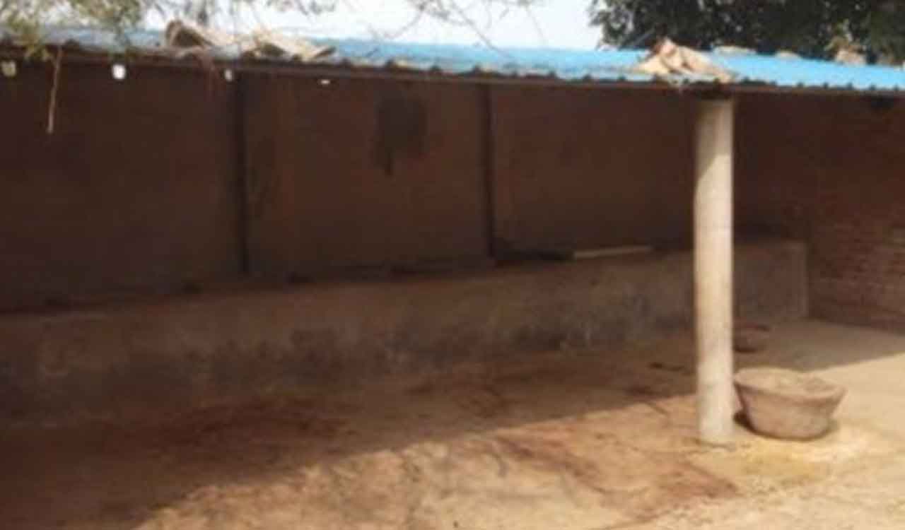 Cattle shed | పశువుల పాకల నిర్మాణాలపై..కొరవడిన పర్యవేక్షణ