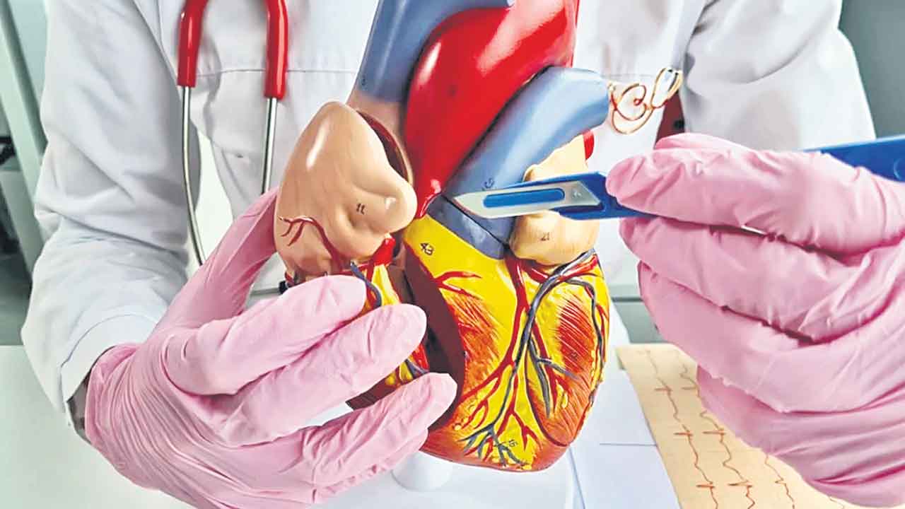 ఏటా చెకప్‌ అవసరం