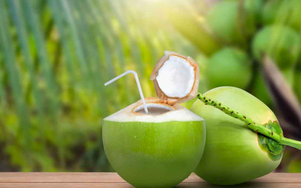 Coconut Water | కొబ్బరి నీళ్లు మేలు చేస్తాయని అధికంగా తాగుతున్నారా..? అయితే జాగ్రత్త..!