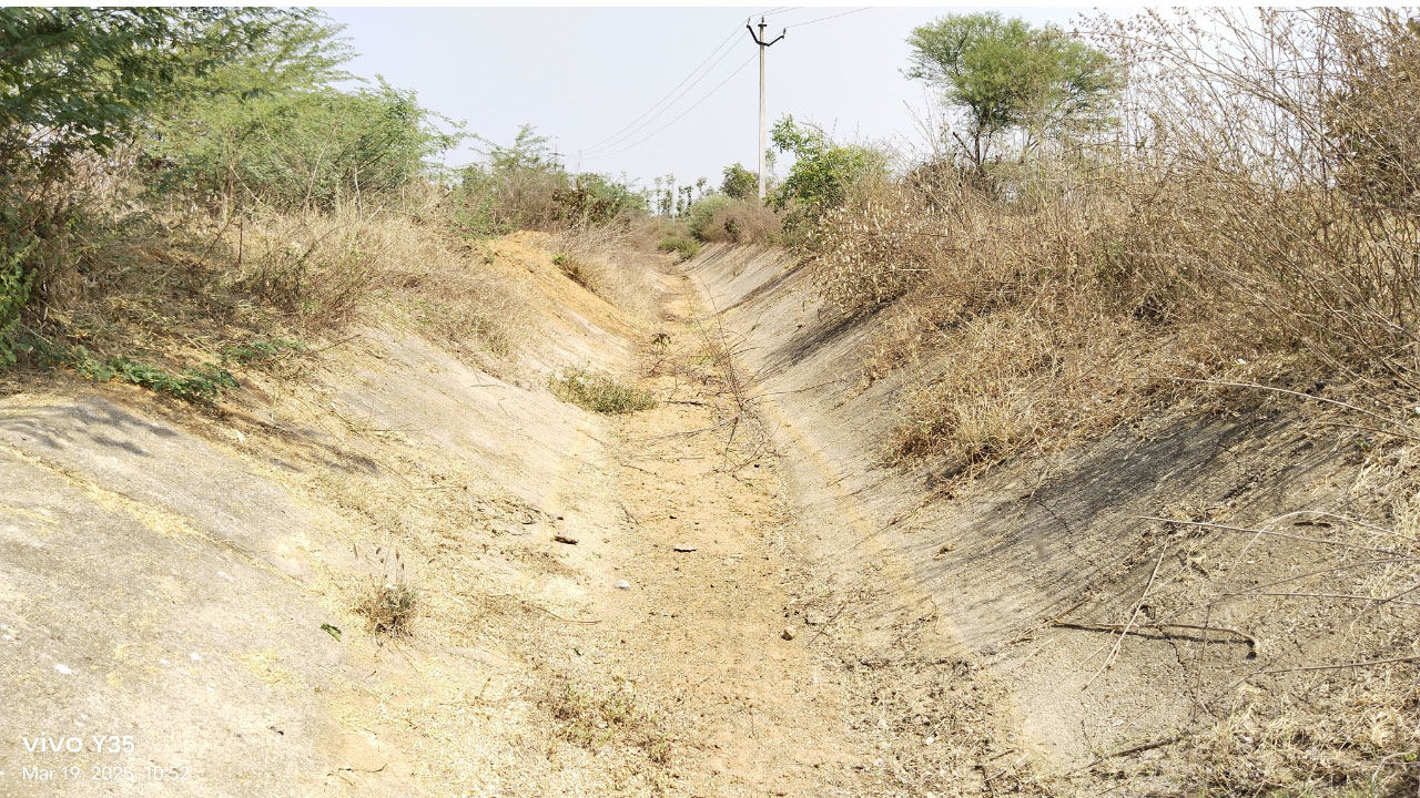 Dhoolmitta1