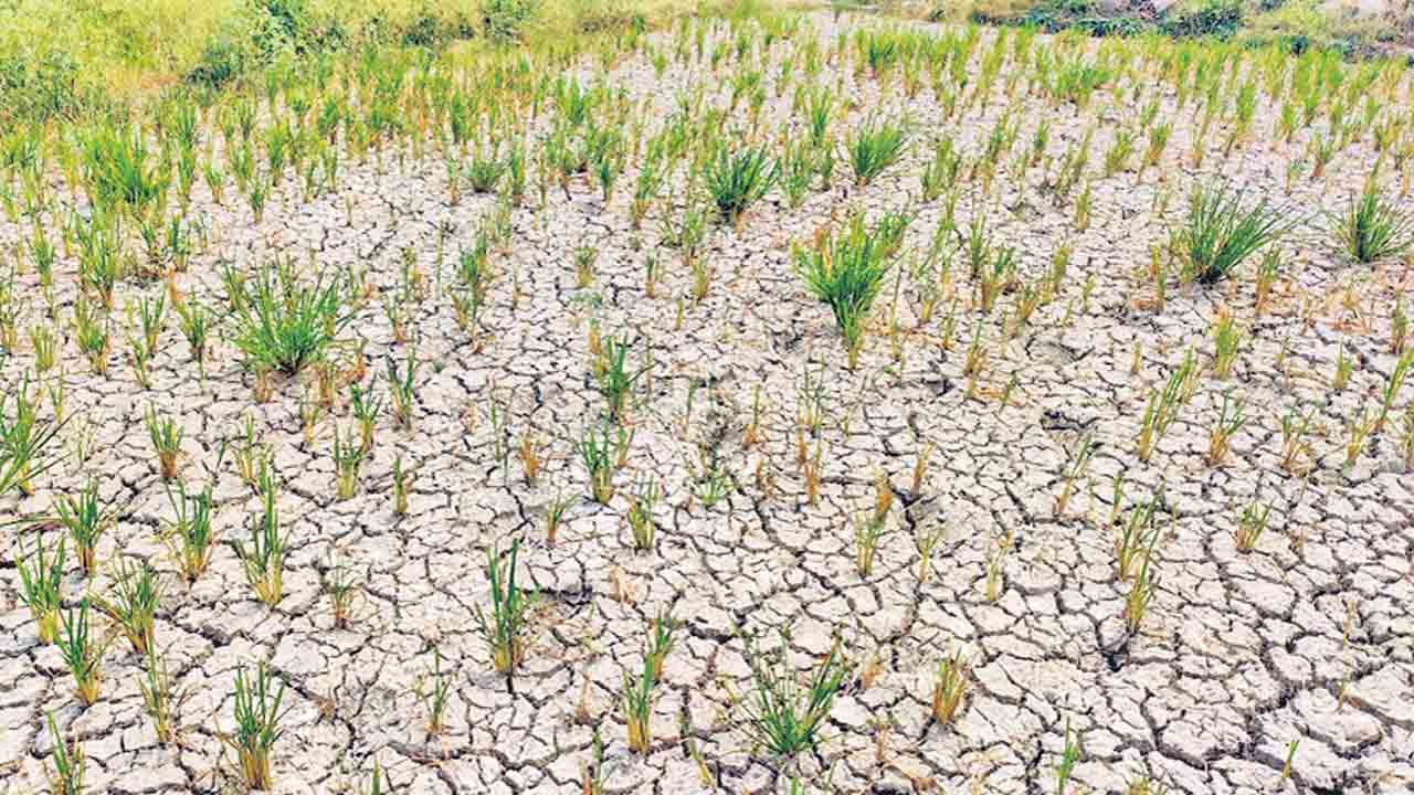 కాంగ్రెస్‌ పాలనలో.. మిగిలింది కన్నీరే..