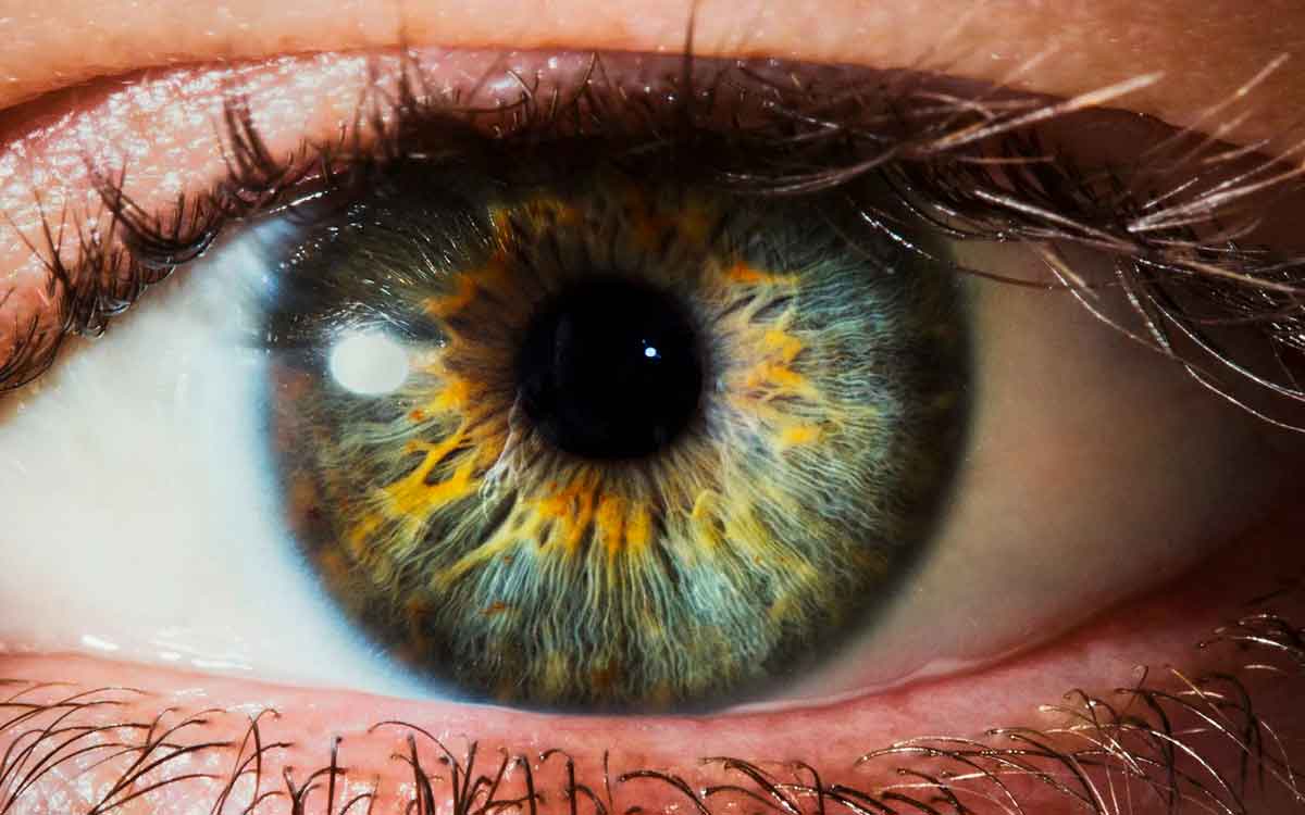 Eyes Health | ఈ చిట్కాల‌ను పాటిస్తే మీ క‌ళ్ల‌కు ఢోకా ఉండ‌దు.. కంటి చూపు మెరుగు ప‌డుతుంది..!