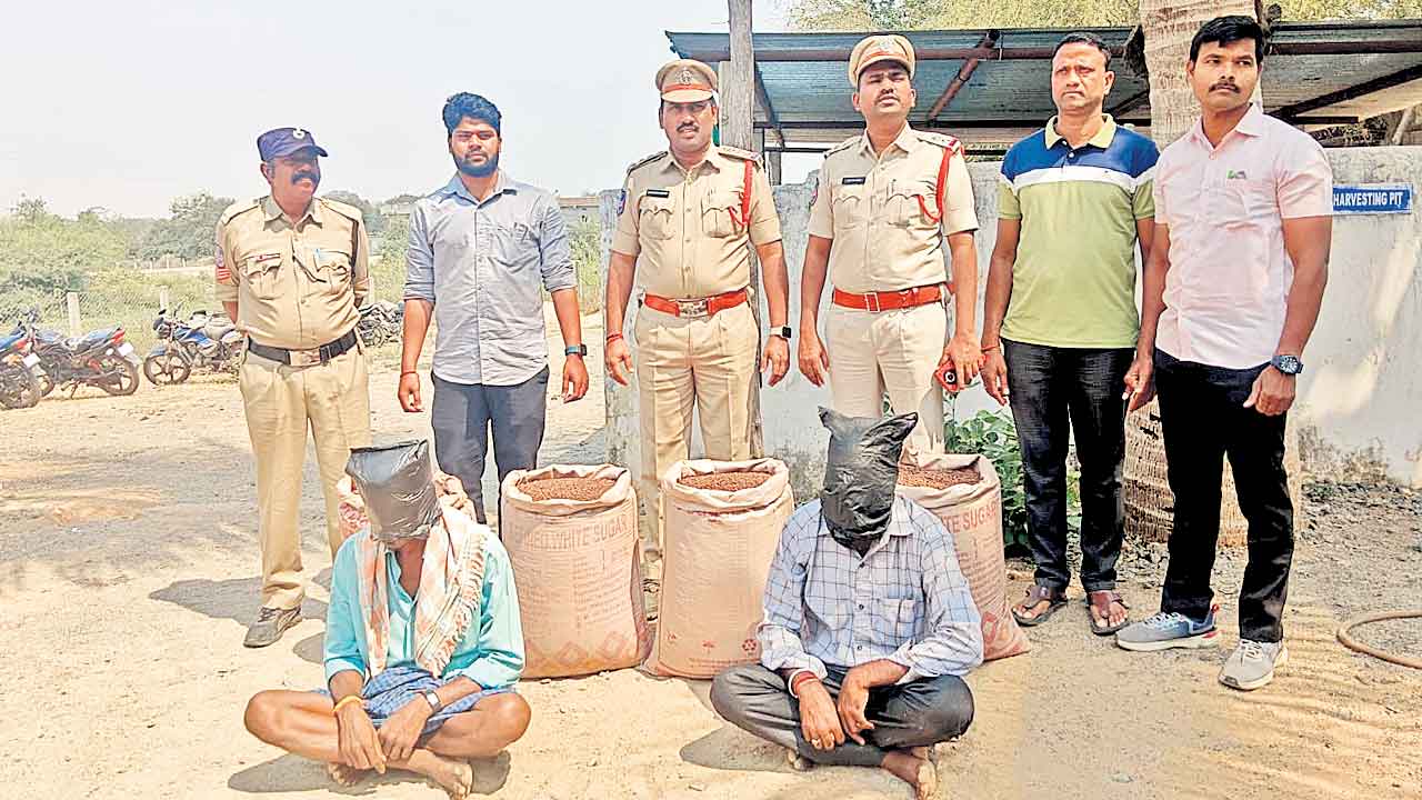 నకిలీ పత్తివిత్తనాల విక్రేతల అరెస్ట్‌