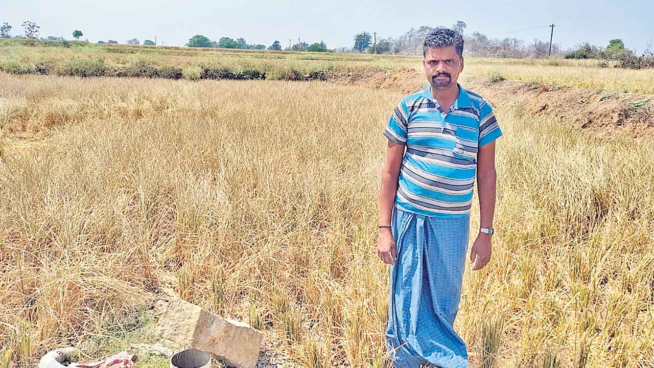 అన్నదాతల అరిగోస.. రైతులను వెంటాడుతున్న కరెంట్‌ కష్టాలు